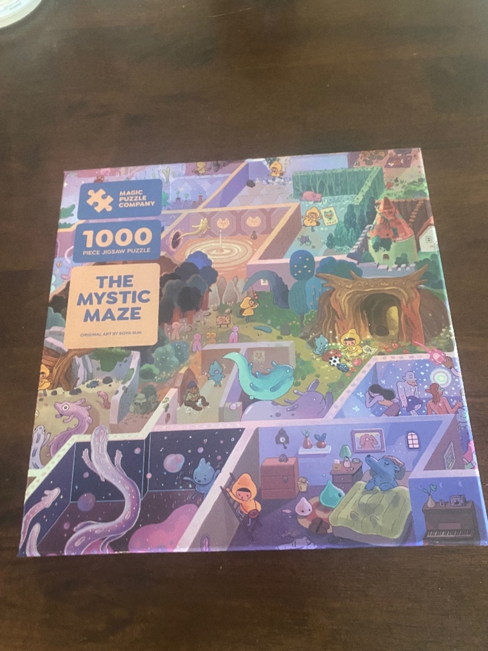 Mystic Maze Puzzle